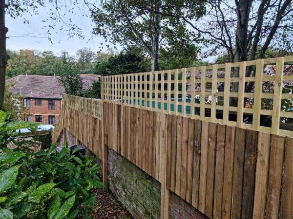 Timber boundary fence with decorative trellis top installed along a raised garden boundary in Bexhill