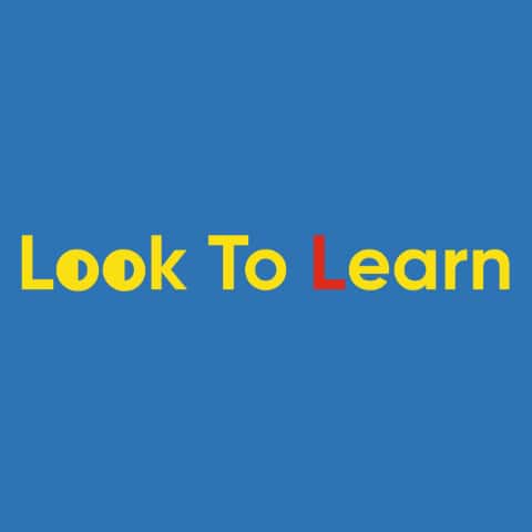 Look To Learn Driving School Hastings logo